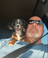 David's Cavalier mix puppy training success story